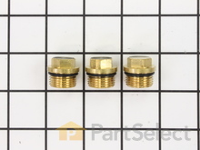 Valve Cap Kit – Part Number: PM064750SV