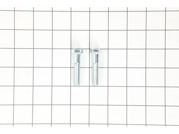 10051680-1-M-Craftsman-STD623717-Screw 2Pk