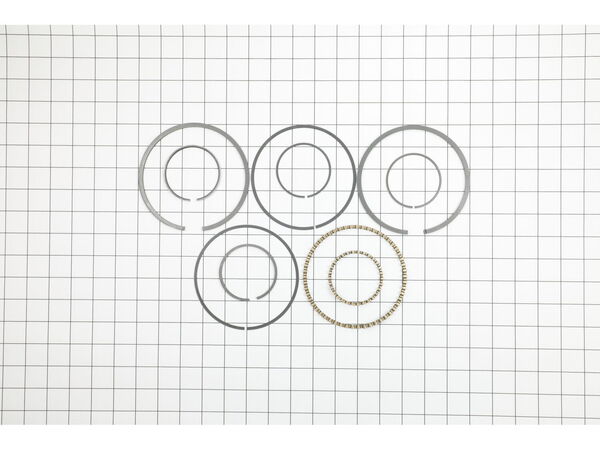 10051875-1-M-Campbell Hausfeld-TF006900AJ-Ring Kit