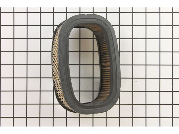 10052878-1-M-Homelite-UP05631-Element-air Filter