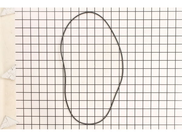 10052967-1-M-Homelite-UP06428-Gasket- Pump Body Large