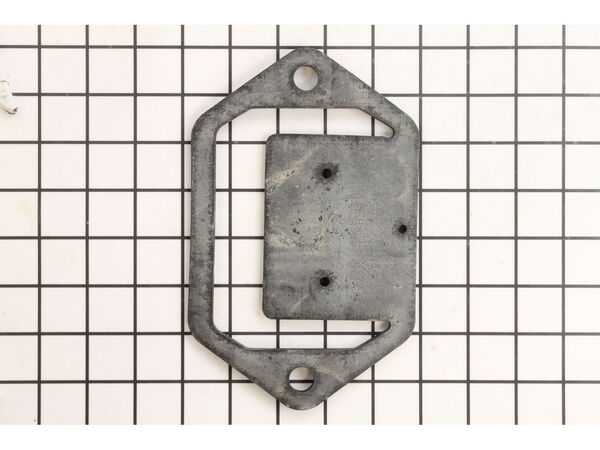 10052974-1-M-Homelite-UP06449-Flapper Valve