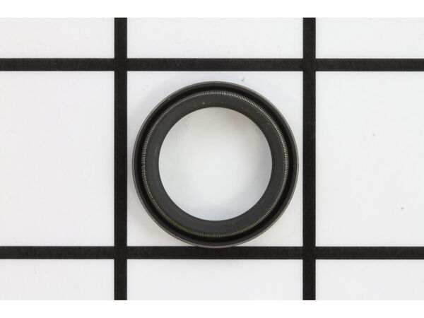 10053228-1-M-Homelite-UP07436-Seal