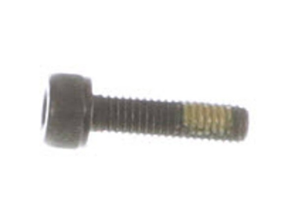10053547-1-M-Echo-V203001600-Chainsaw Bolt