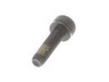 10053547-2-S-Echo-V203001600-Chainsaw Bolt