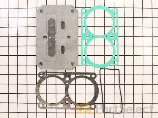 10054026-1-M-Campbell Hausfeld-VT470800AJ-Valve Plate Assembly