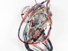 10056828-2-S-Whirlpool-W10640707-HARNS-WIRE