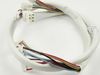 10065006-2-S-Frigidaire-809170801-HARNESS, WIRING MAIN BOARD