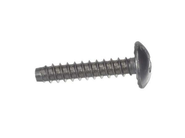 10065066-1-M-LG-FAB32139901-SCREW, TAPPING