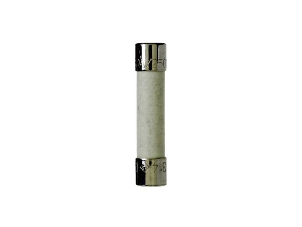 10065161-1-M-GE-WE1X21975-Fuse