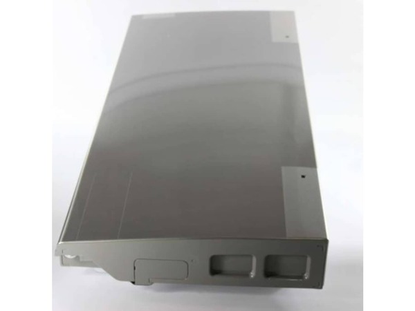 10066421-1-M-LG-ADD73358315-DOOR FOAM Assembly REF