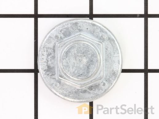 10067381-1-M-Frigidaire-38138-Cap & Bearing Assembly