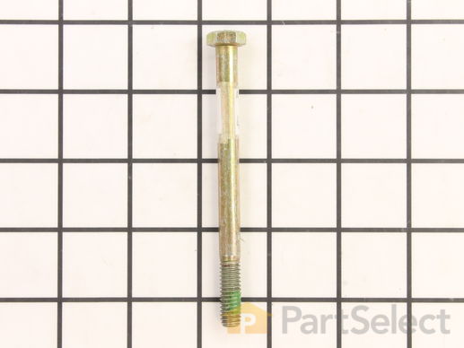10069243-1-M-Poulan-428982-Bolt