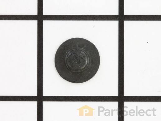 10069521-1-M-Murray-704066-Pushnut, Cap Wshr,1/4