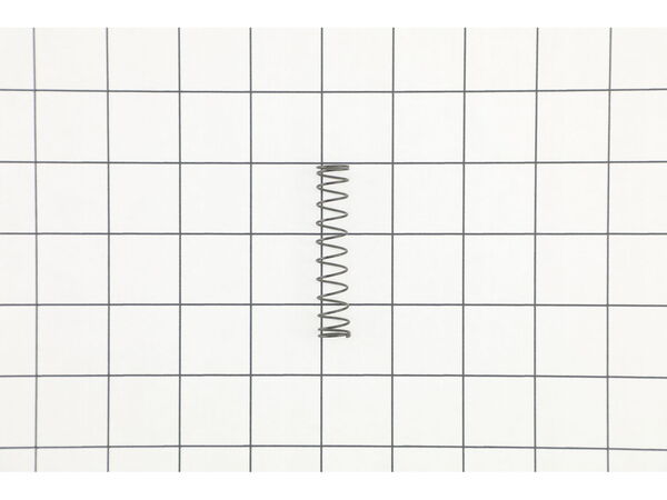 10075038-1-M-Ryobi-0121010919-Compression Spring