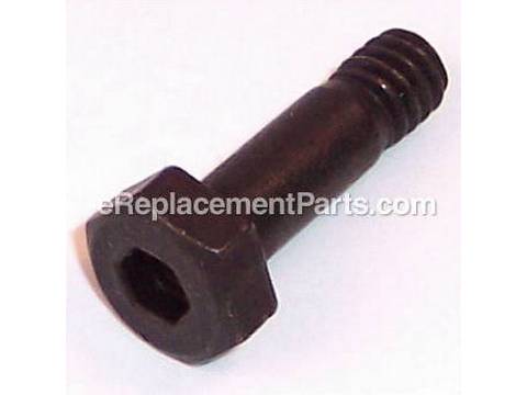 10075129-1-M-Ryobi-0131010810-Screw