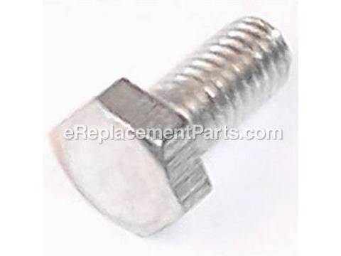 10075551-1-M-Ryobi-020301012-Screw (M6 X13 mm)