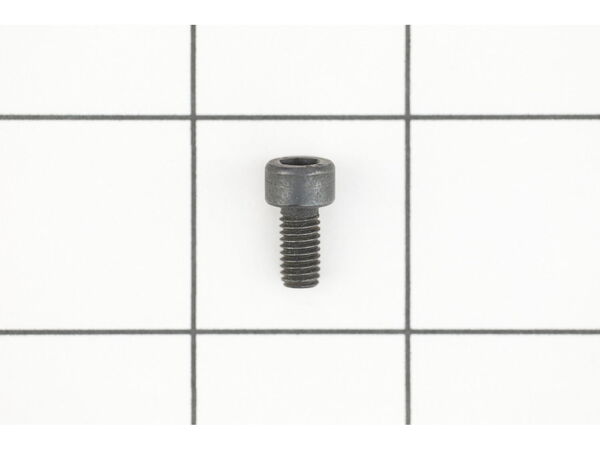 10075573-1-M-Ryobi-020601003-Screw (M5 X 10 mm)
