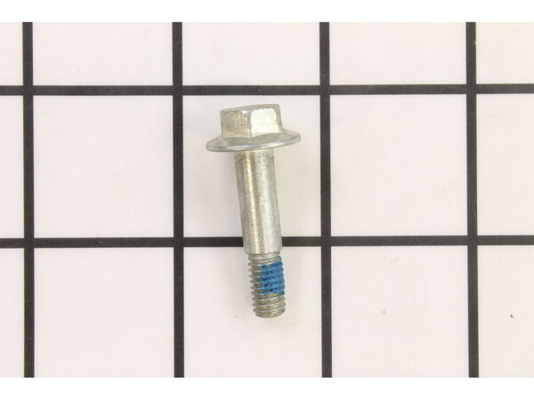 10075741-1-M-Ryobi-028976000-Screw