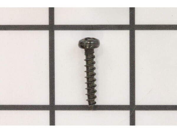 10075779-1-M-Ryobi-030155001016-Screw (M4 X 20 mm)