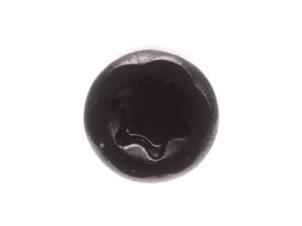 10075792-1-M-Ryobi-030157001019-Screw