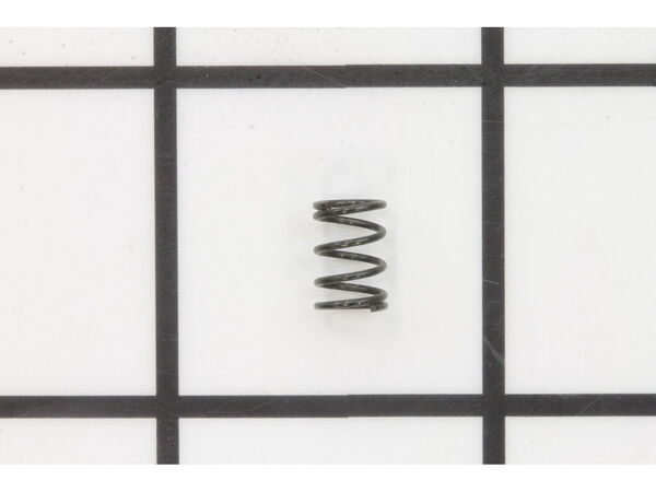 10076029-1-M-Ryobi-039076001071-Compression Spring