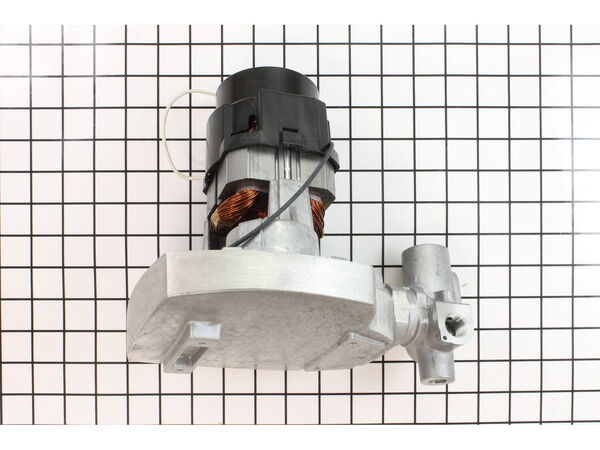 10076262-1-M-Ryobi-039747004021-Complete Pump Assembly