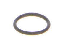 O - Ring (12.42 X 1.78) – Part Number: 079002001029