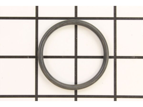 10076544-1-M-Ryobi-079025001016-O-Ring (P-39)