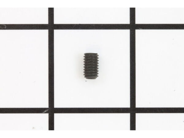 10076956-1-M-Ryobi-089006017047-Set Screw (M5 X 8 Mm)