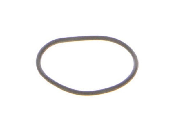 10076991-1-M-Ryobi-089006017094-O-ring