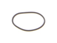 O-ring – Part Number: 089006017094