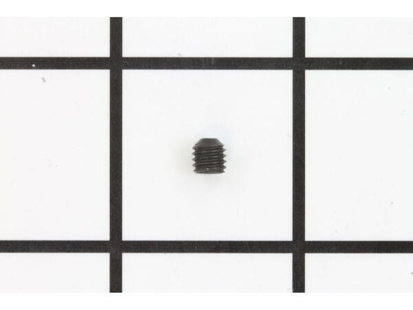 10077002-1-M-Ryobi-089006017106-Set Screw M5 X 5Mm