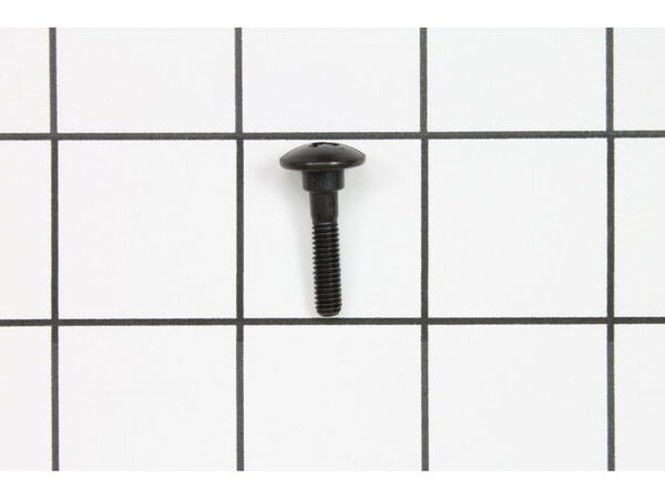 10077049-1-M-Ryobi-089037007017-Screw (M4 x 0.7 mm)