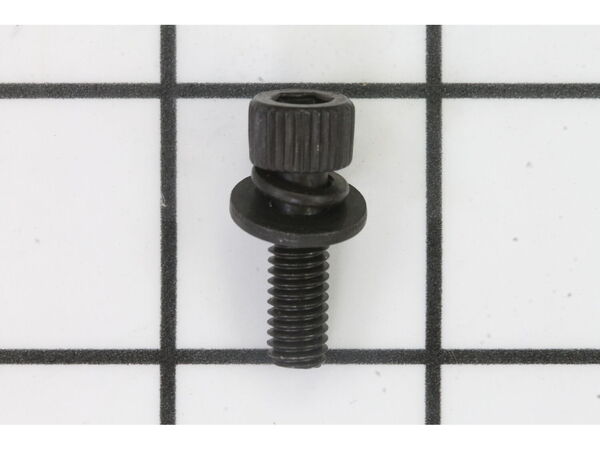 10077054-1-M-Ryobi-089037007022-Screw (M6 x 20 mm, Hex Hd.)