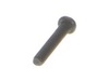 10077147-2-S-Ryobi-089037008024-Screw (m4 X 20 Mm, Phillips Hd