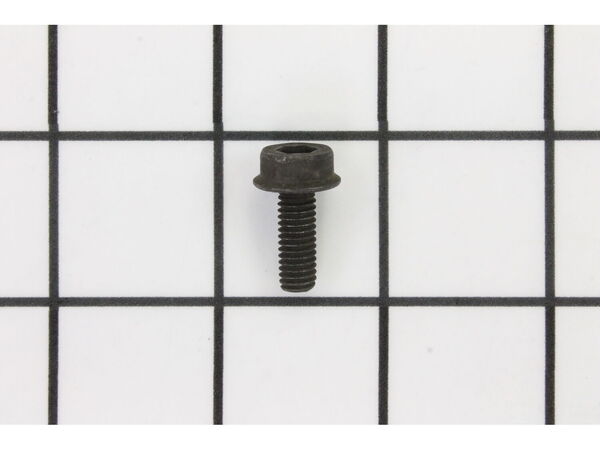 10077180-1-M-Ryobi-089037008060-Screw (M6 x 16 mm, Hex Hd)