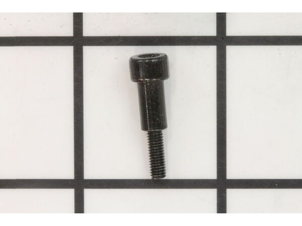 10077187-1-M-Ryobi-089037008067-Screw (M3 x 10 mm)