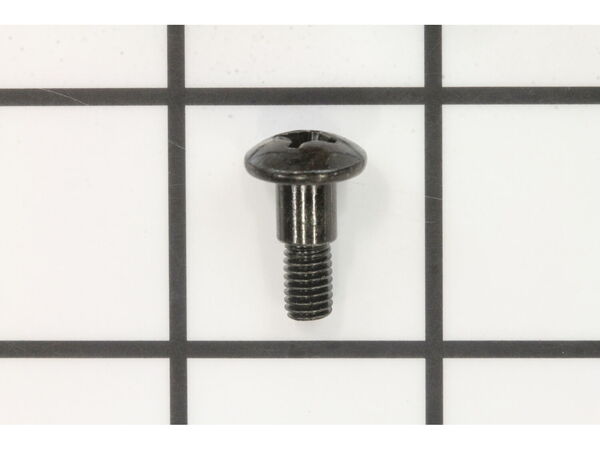 10077275-1-M-Ryobi-089037008187-Screw (m5 X 15 Mm, Phillips Hd