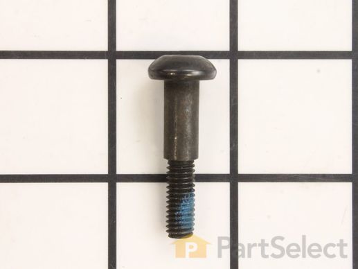 10077311-1-M-Ryobi-089037009005-Screw (M6 x 31 mm)
