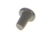 10077448-2-S-Ryobi-089055007007-Screw M5x8mm Ph