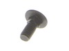 10077465-2-S-Ryobi-089055007033-Bolt (M6 x 14 mm, Carriage)