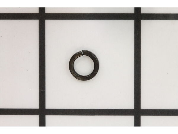 10077467-1-M-Ryobi-089055007035-Washer (D5)