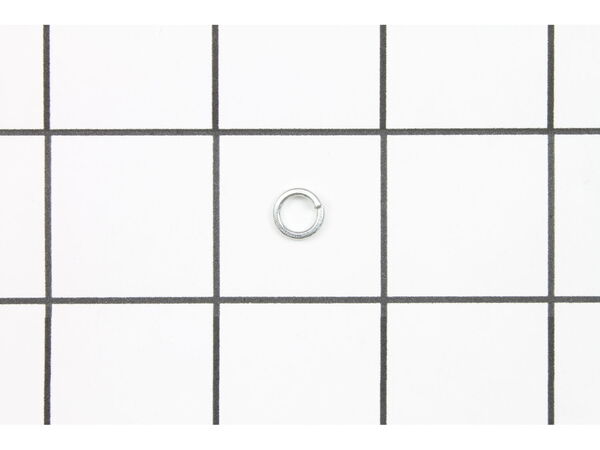 10077588-1-M-Ryobi-089100113053-Spring Washer