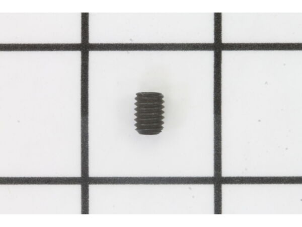 10077619-1-M-Ryobi-089100113097-Screw (M6X 8 mm Flat HD.)