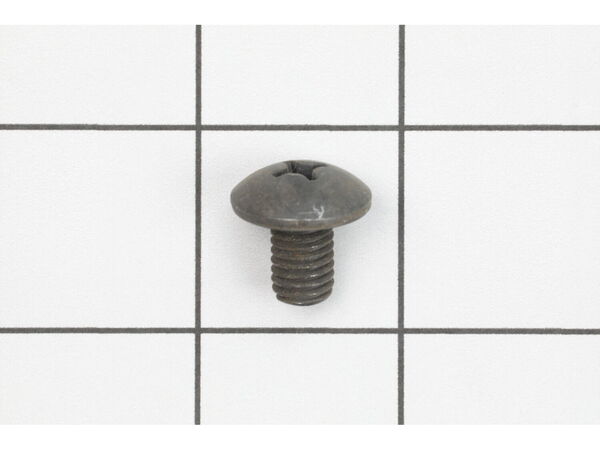 10077653-1-M-Ryobi-089100113137-Screw (M8)