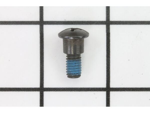 10077770-1-M-Ryobi-089100121024-Screw M6 X 16 mm, Pan Hd