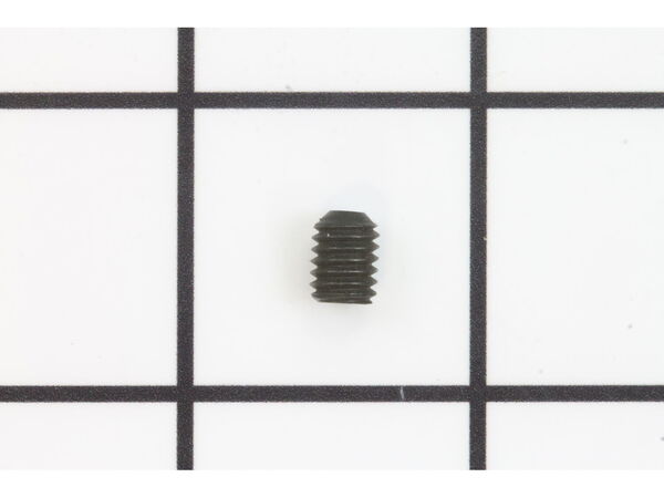 10077804-1-M-Ryobi-089100121062-Screw M6 X 8 mm, Hex Soc Hd