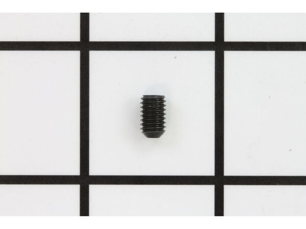 10077997-1-M-Ryobi-089100208104-Screw (M5 x 8 mm, Set)