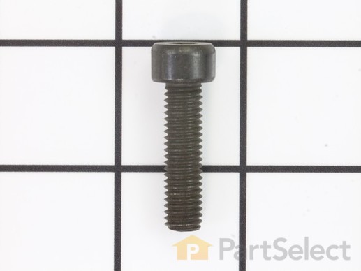 10078587-1-M-Ryobi-089240001021-Screw (M8 x 30 mm, Hex Soc Hd)